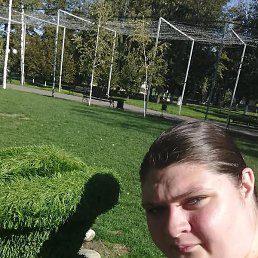 ������� ����, ����������, 24 ����