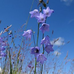 ���� �����, ������, 39 ��� - ��������� 11 ���� 2024