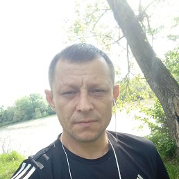 , 40, 