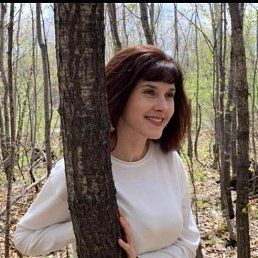 ���� ��������, ��������� - ��������� 20 ����� 2026