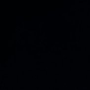 �����, 36 ���, �����