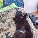 ���� ������, ������, 46 ��� - ��������� 3 ������� 2024