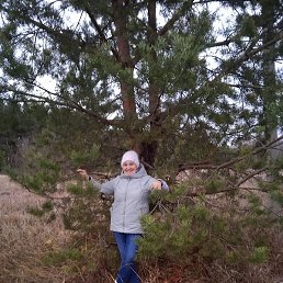 ������, �������, 66 ���