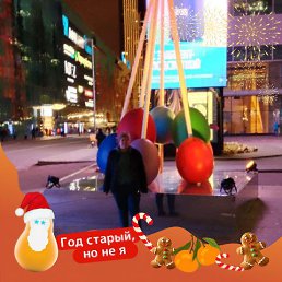 ���� �����, ������� �����, 31 ��� - ��������� 12 ������� 2026