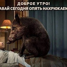 ����, ������, 41 ���