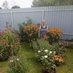 �������, �������, 75 ���