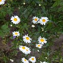 ���� L, ��������, 69 ��� - ��������� 5 ���� 2025