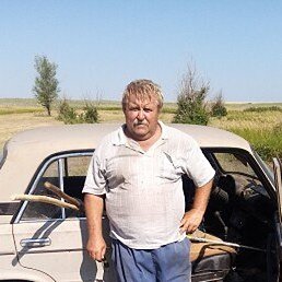 ����, ������, 65 ���