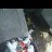 ���� Javed, ������, 18 ��� - ��������� 18 ��� 2026