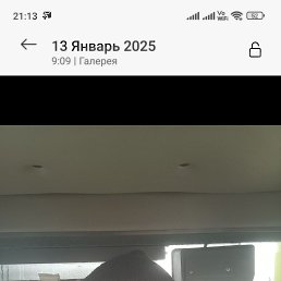 , 49 , 