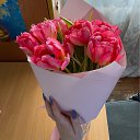 ���� ����, ������, 32 ���� - ��������� 24 ������ 2025 � ������ ���� ����������