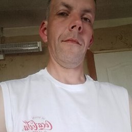 ����, ������� ��������, 41 ���