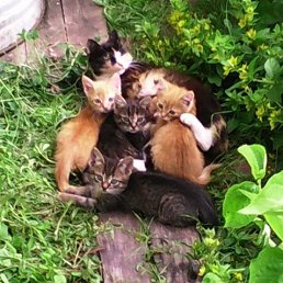 ���� �����, ������, 64 ���� - ��������� 25 ������ 2024