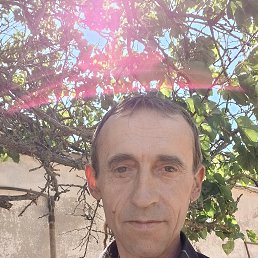 , 49, 