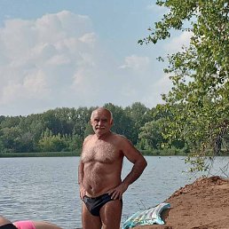 ���� Bogdan, ������, 71 ��� - ��������� 13 ���� 2026