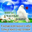 ���� �������, ������ - ��������� 17 ������� 2025 � ������ ������ ��������