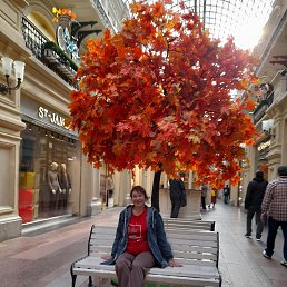 ���� �������, ������, 46 ��� - ��������� 25 ������� 2026