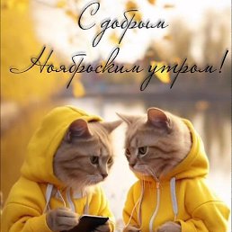 ����, ���������, 74 ����