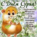 ���� ���🌞, ����������, 52 ���� - ��������� 2 ������� 2026 � ������ ������ ��������