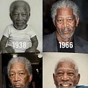 ���� �����, ������, 36 ��� - ��������� 10 ���� 2026 � ������ ������ ��������