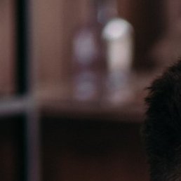 ����, �������, 24 ����