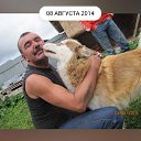 ���� �������, �����, 49 ��� - ��������� 28 ������� 2024 � ������ ���� ����������