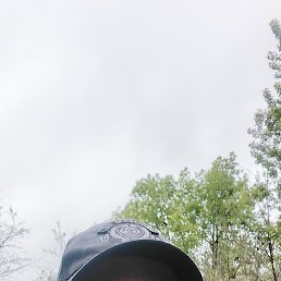 , 43, 
