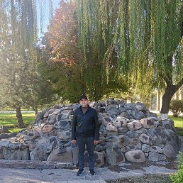 ������, �������, 38 ���