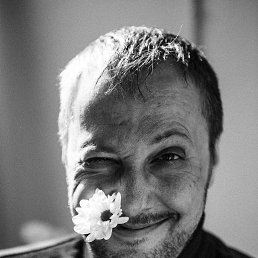  , -, 44  -  31  2024