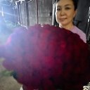 ���� ����, ������, 35 ��� - ��������� 9 ������ 2026 � ������ ���� ����������