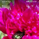 ���� �������, �����������, 44 ���� - ��������� 6 ������ 2024 � ������ ���� ����������