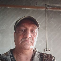 , 65, 