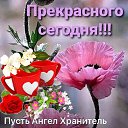 ���� ��������, ������������ - ��������� 25 ������ 2026 � ������ ������ ��������