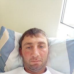 , 37, 
