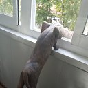 ���� Soledad, ������ - ��������� 13 ������ 2025 � ������ ������ ��������