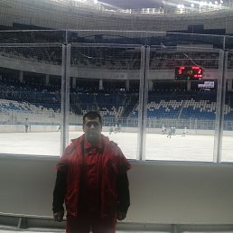 , 41, 