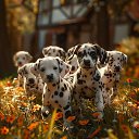 ���� ����, ������������, 34 ���� - ��������� 22 ���� 2025