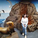 ���� �����, ��������, 50 ��� - ��������� 2 ������ 2025