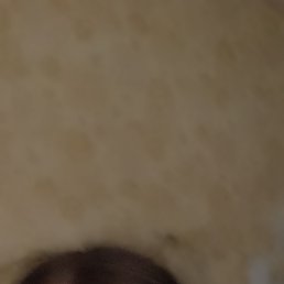 , 37, 