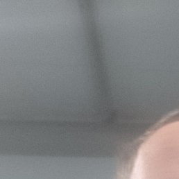 ���������, �������, 42 ����