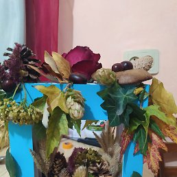 Andrei, �������, 38 ���