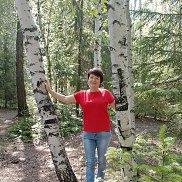 �����, 53 ����, ������������