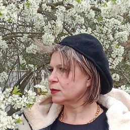 , 48, 