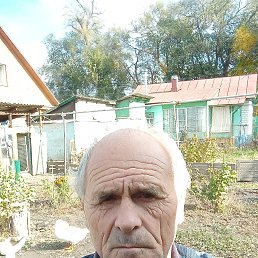 ���� ������, ������, 70 ��� - ��������� 11 ������ 2023