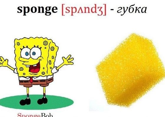 ���� ����� ����� ������ - 4