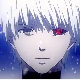 ������, ��������, 23 ����