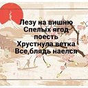 ���� ������, �����-���������, 60 ��� - ��������� 4 ������� 2025 � ������ ������ ��������