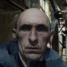 ������, ������, 46 ���