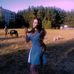 , 29, --