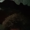 ���� �������, ������, 41 ��� - ��������� 19 ������� 2025 � ������ ���� ����������
